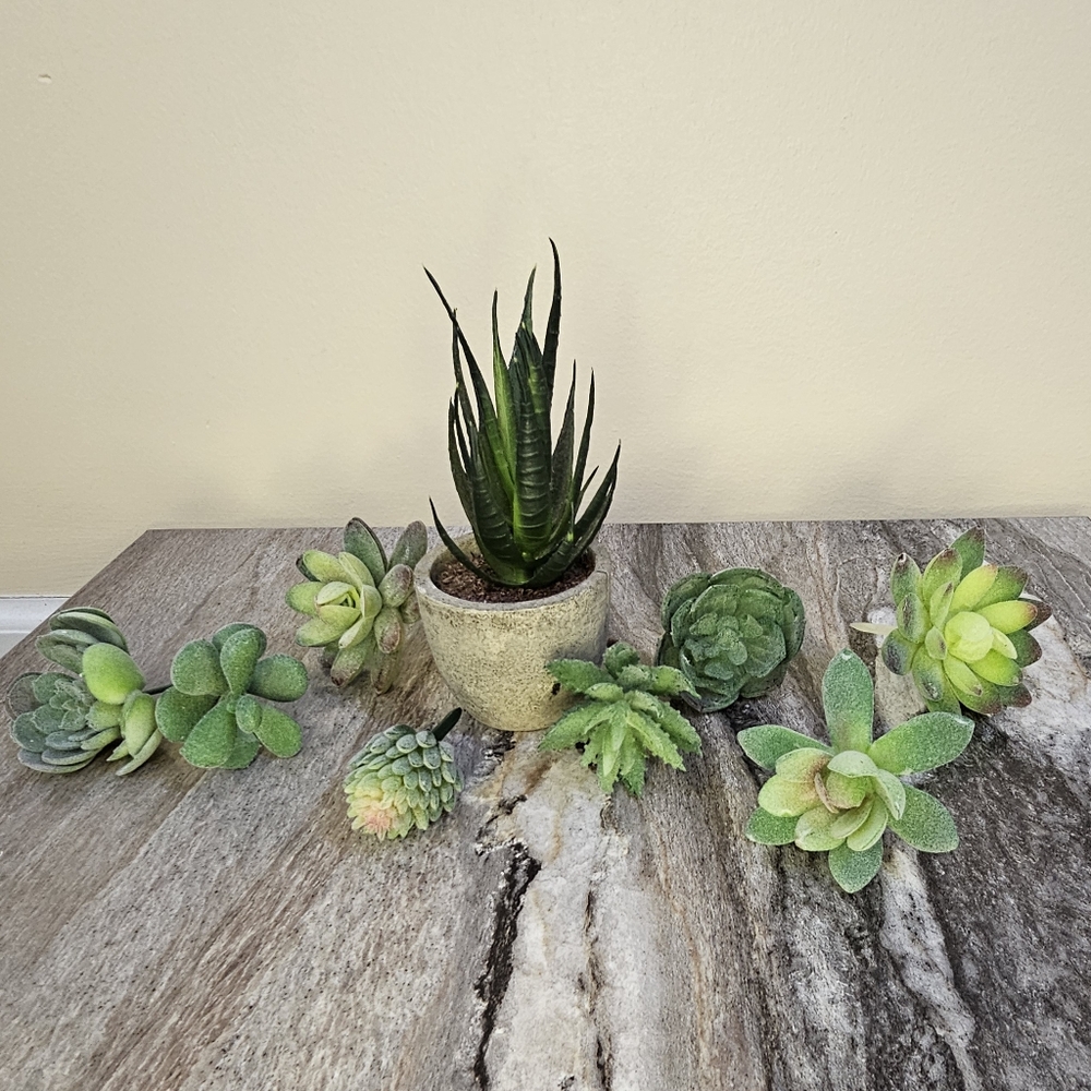 Fake Succulent Lot